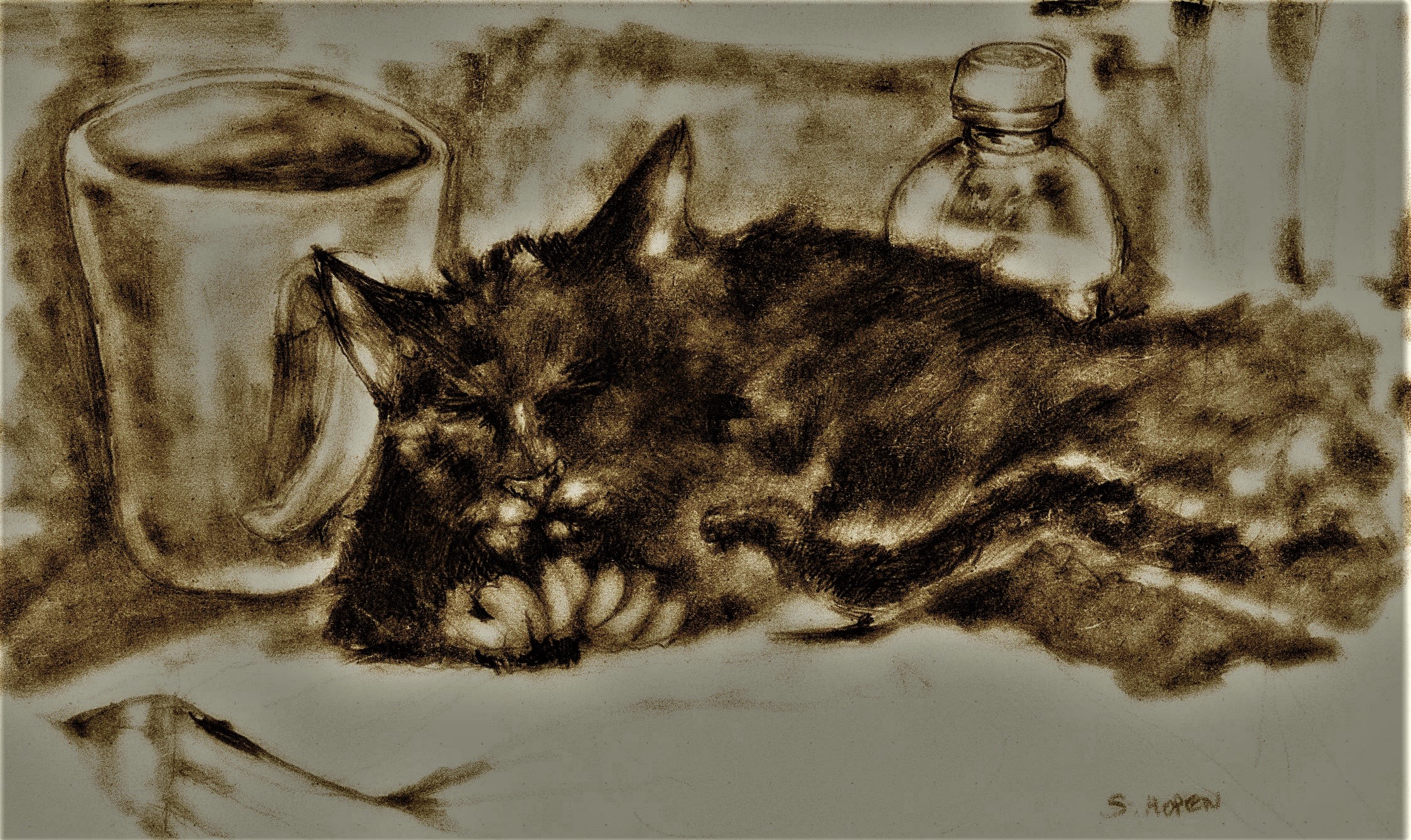 Sleeping-Black-Cat