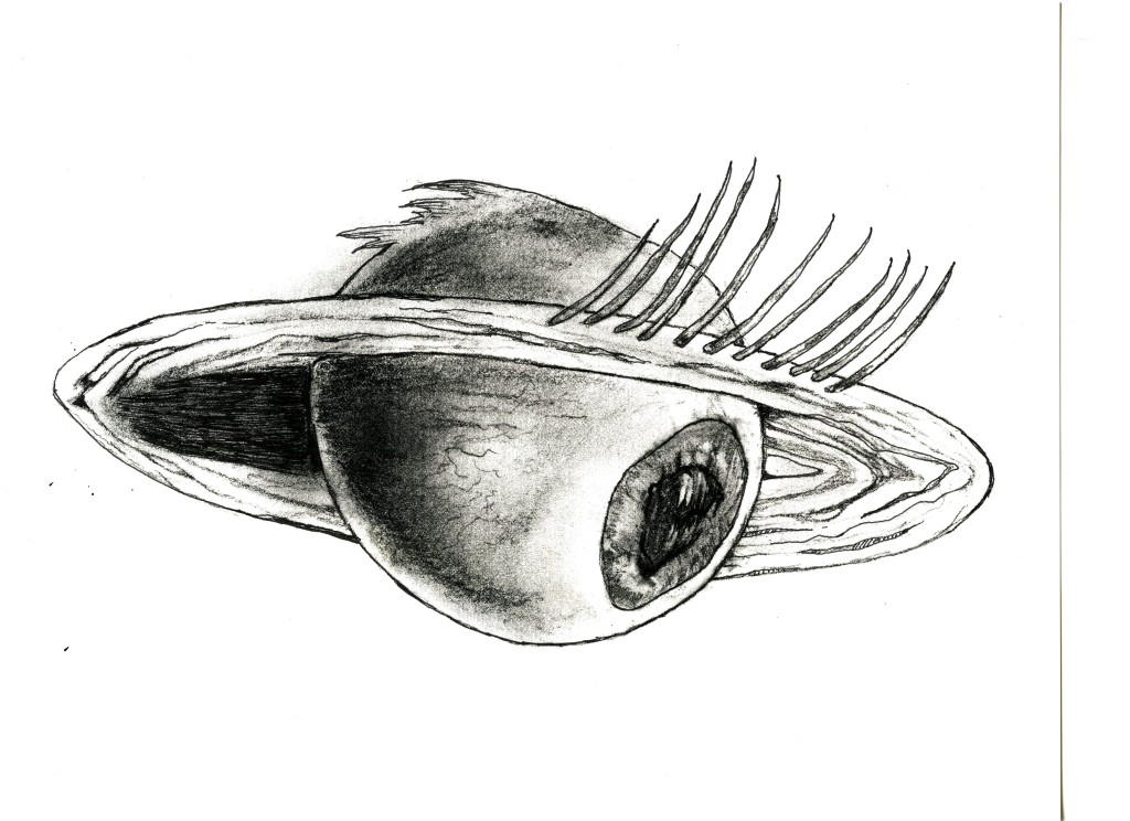 Saturn Eye